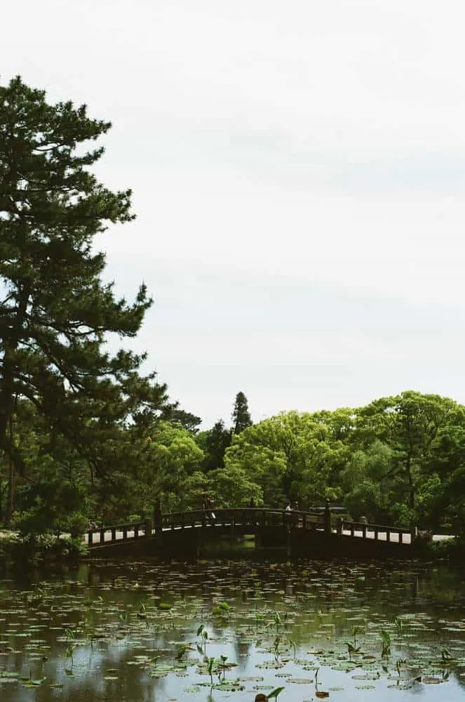 【作例】CONTAX 139 QUARTZとPlanar T* 50mm F1.4で大須観音と鶴舞公園へ