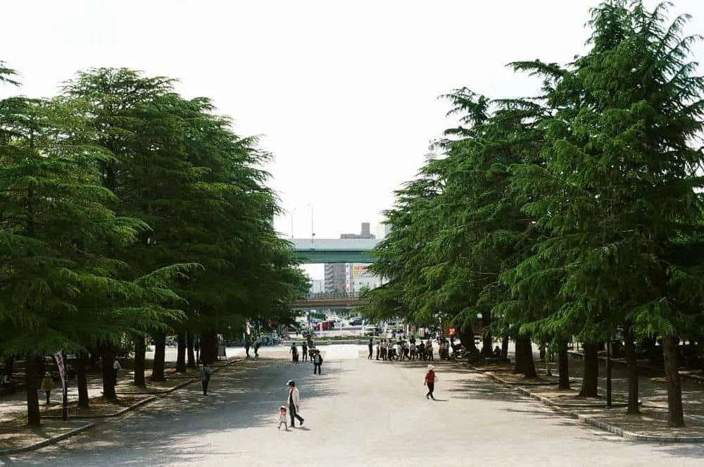 【作例】CONTAX 139 QUARTZとPlanar T* 50mm F1.4で大須観音と鶴舞公園へ