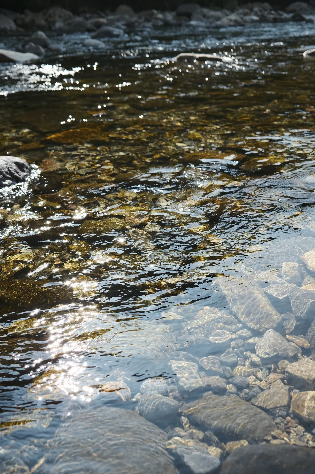 【飛騨高山】FUJIFILM X100Vとソロキャンプ