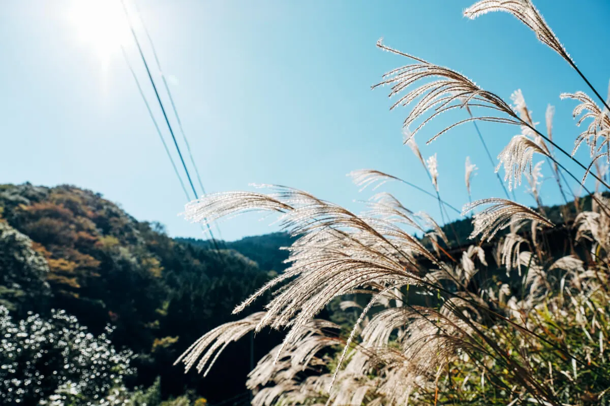 富士フイルムX-T2とXF16-55で撮る熊本の風景スナップ