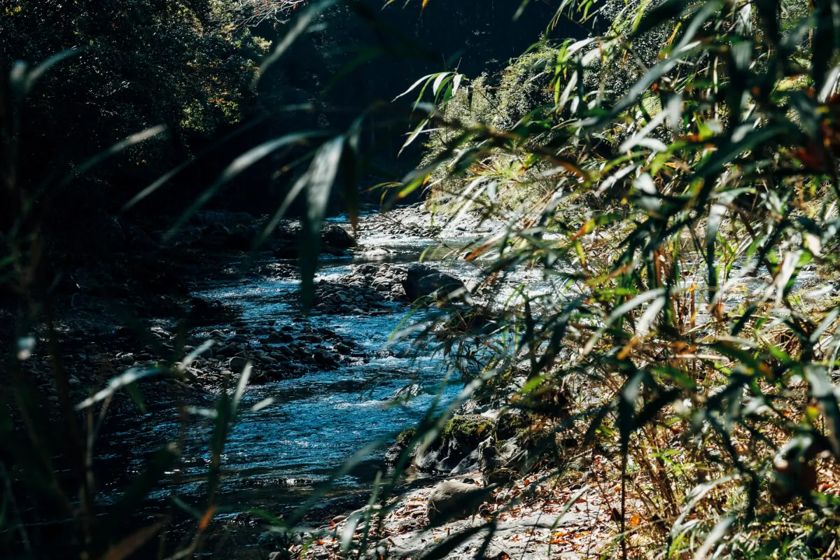 10月の振り返りと最近のこと