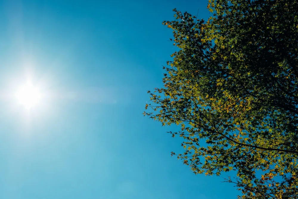 富士フイルムX-T2とXF16-55で撮る熊本の風景スナップ