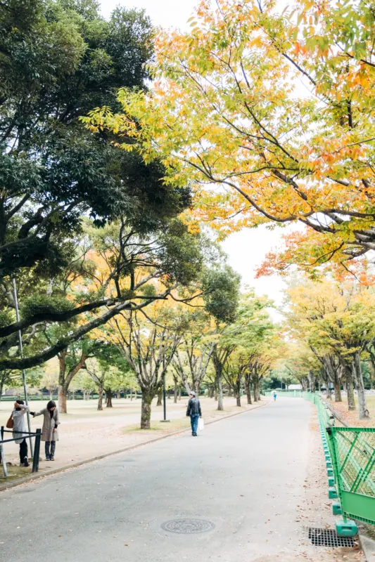 富士フイルムX-T2とXF16-55で撮る熊本の風景スナップ