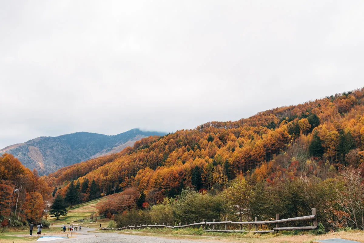 ヘブンスそのはらのマウンテンロッジ付近