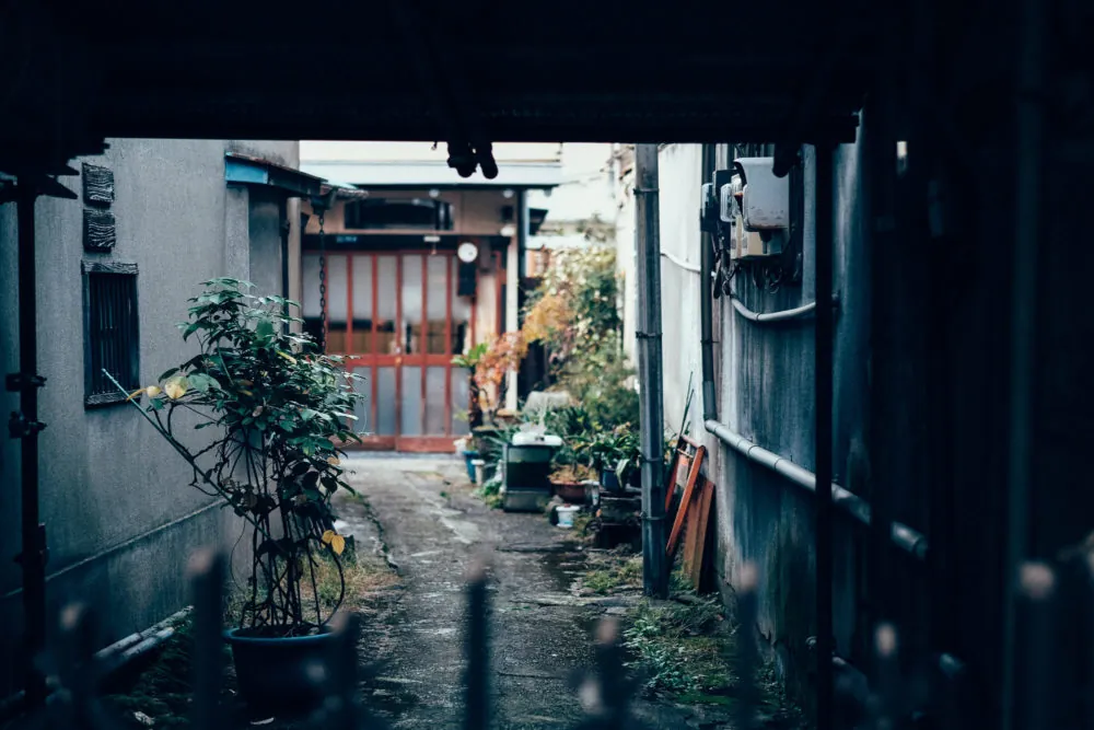 最高だったよ #たけさんぽ東京 フォトウォーク。