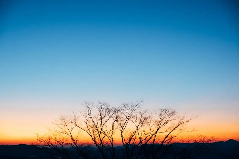 【静岡観光スポット】冬の熱海・日本平夢テラスを撮影してきた