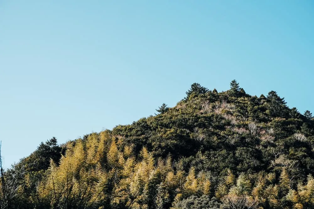 よくある田舎の風景