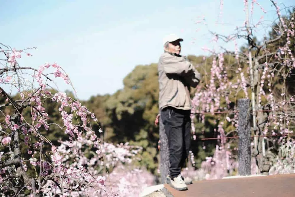 [2019年]犬山市大縣神社の梅園は見頃だった