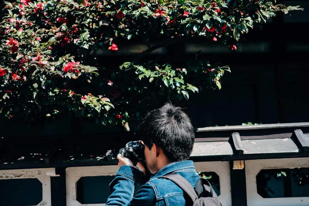 【 #たこさんぽ 】男5人の郡上八幡フォトウォーク小旅行