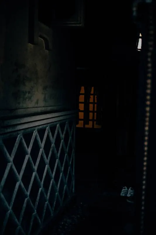 【 #たこさんぽ 】男5人の郡上八幡フォトウォーク小旅行