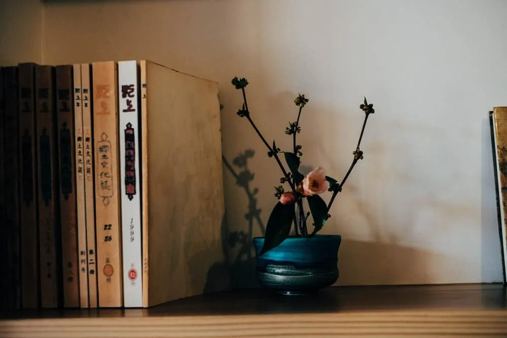 【 #たこさんぽ 】男5人の郡上八幡フォトウォーク小旅行