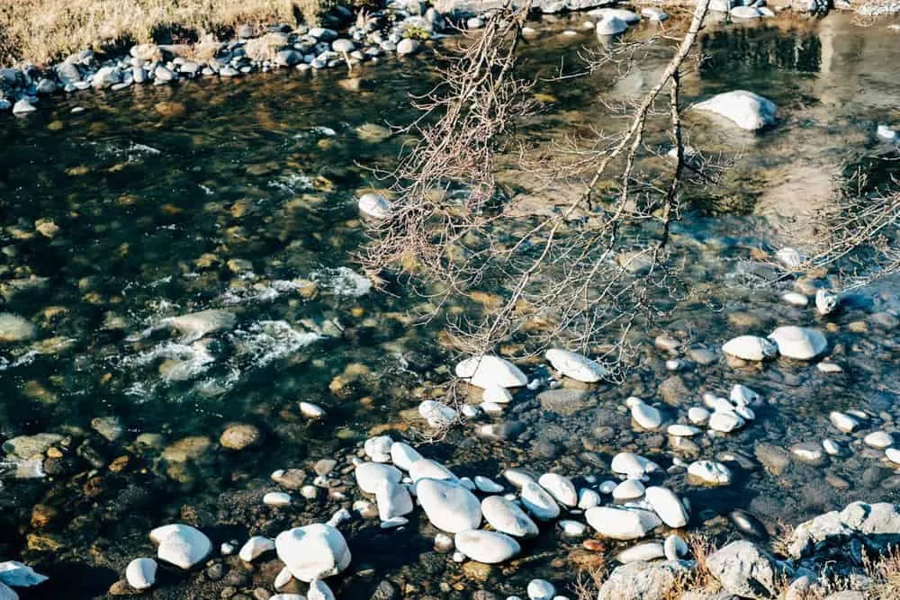 【 #たこさんぽ 】男5人の郡上八幡フォトウォーク小旅行