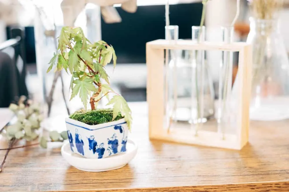 東別院の名古屋アンティークマーケットにいってきました