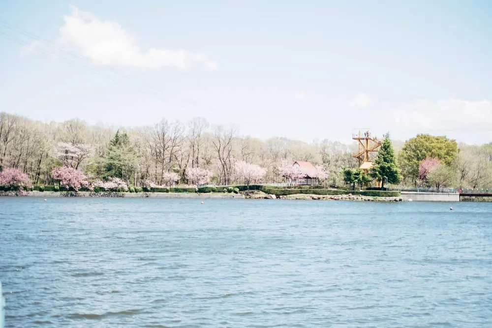 【富士フイルムX-T2】GWお出かけ那須旅行ダイジェスト