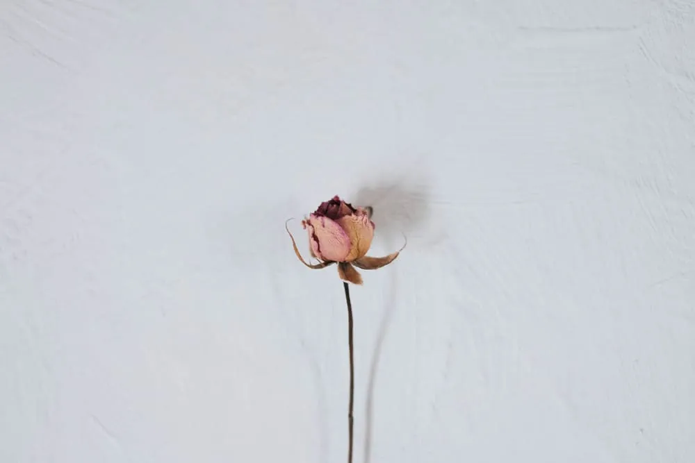 物撮りの背景にhaiqeiがおすすめ