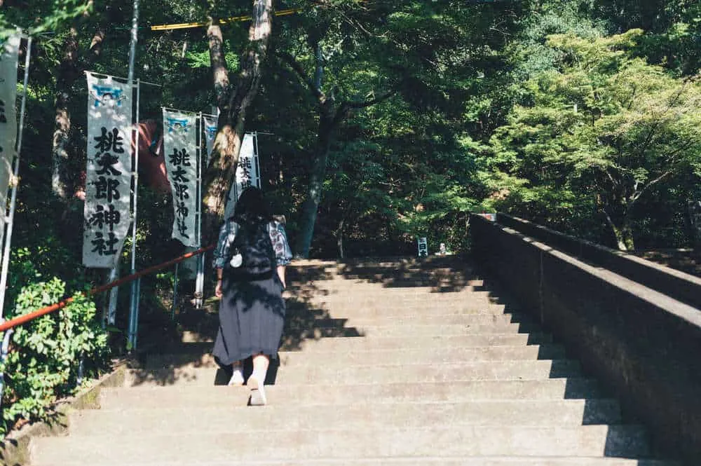 Nikon Z 6+NIKKOR Z 35mmで撮る犬山桃太郎神社と彼岸花