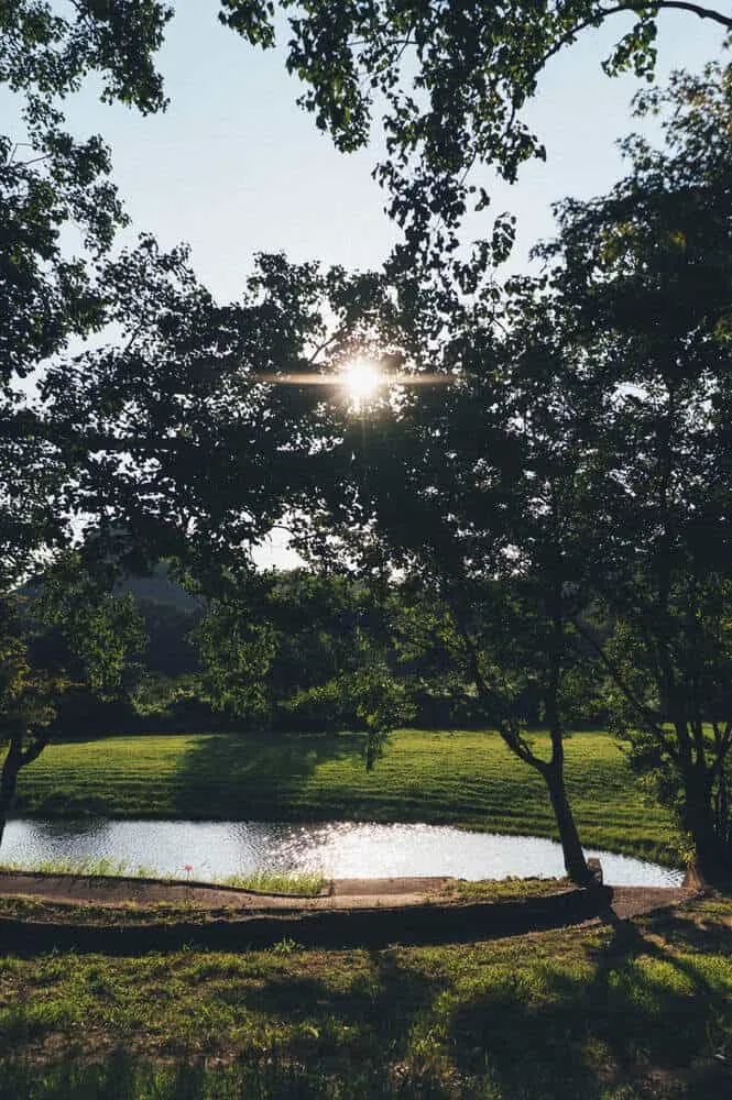 Nikon Z 6+NIKKOR Z 35mmで撮る犬山桃太郎神社と彼岸花
