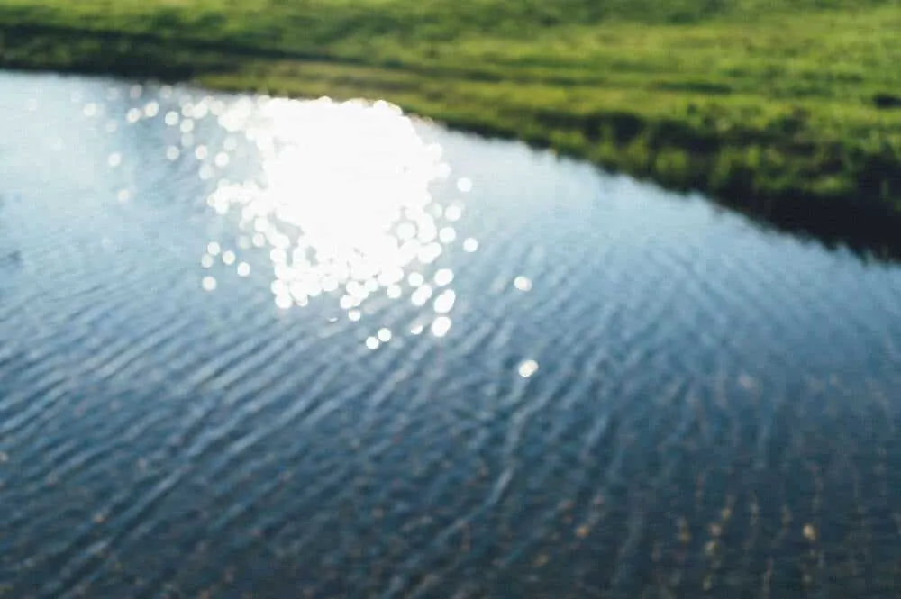 Nikon Z 6+NIKKOR Z 35mmで撮る犬山桃太郎神社と彼岸花