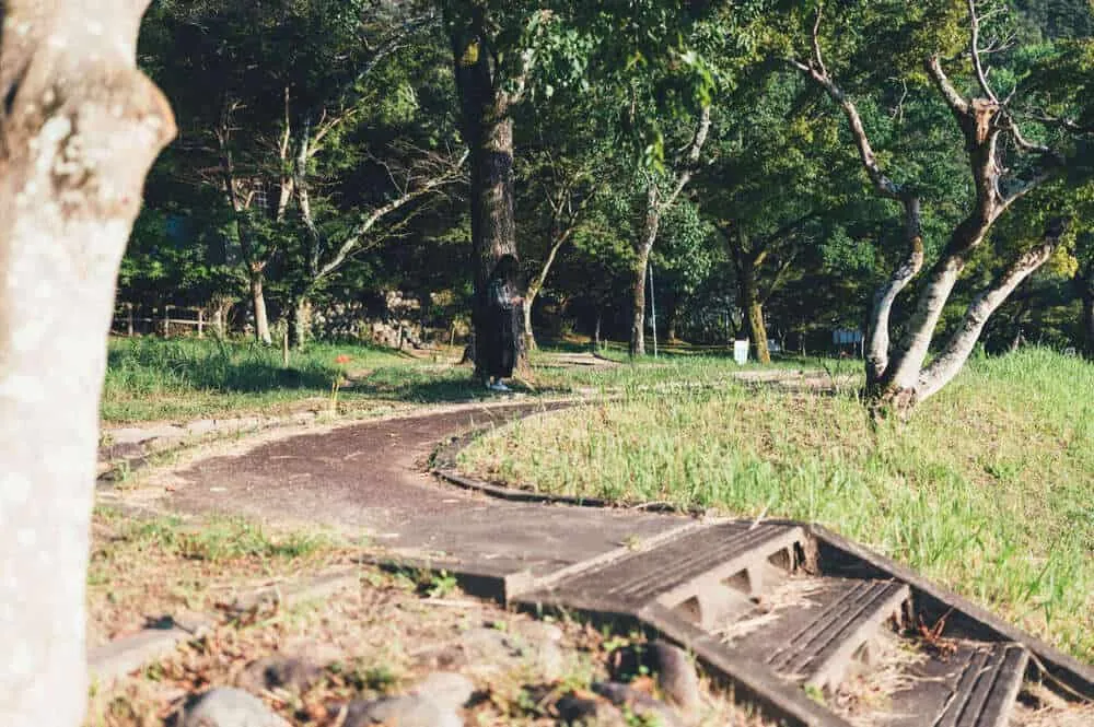 Nikon Z 6+NIKKOR Z 35mmで撮る犬山桃太郎神社と彼岸花