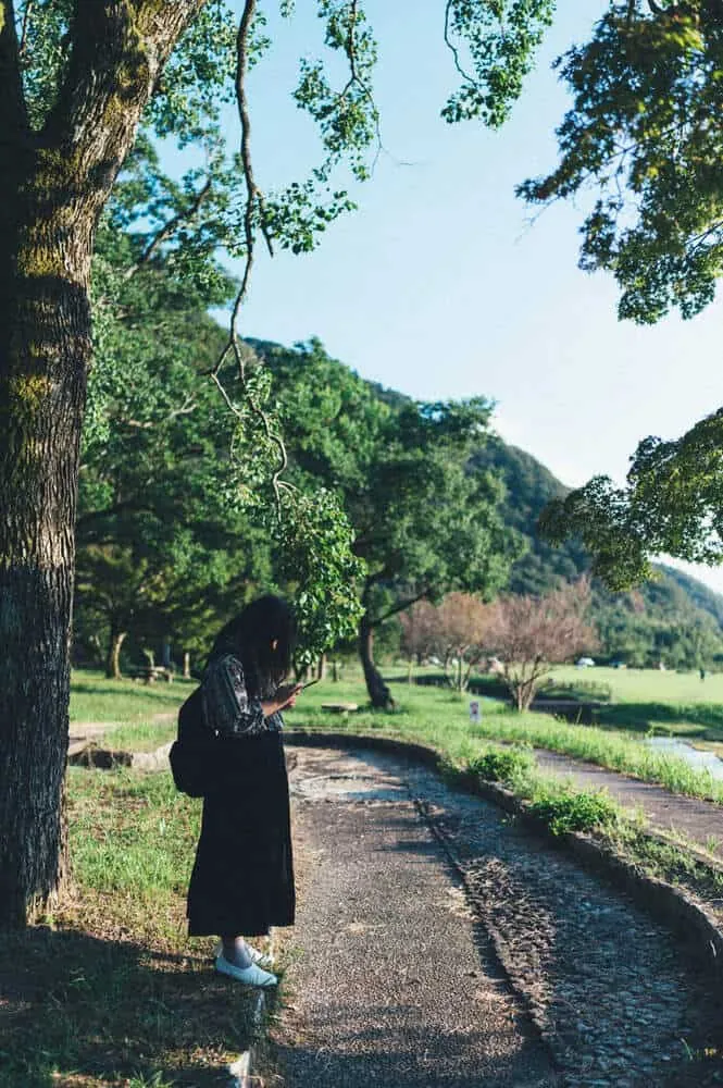 Nikon Z 6+NIKKOR Z 35mmで撮る犬山桃太郎神社と彼岸花