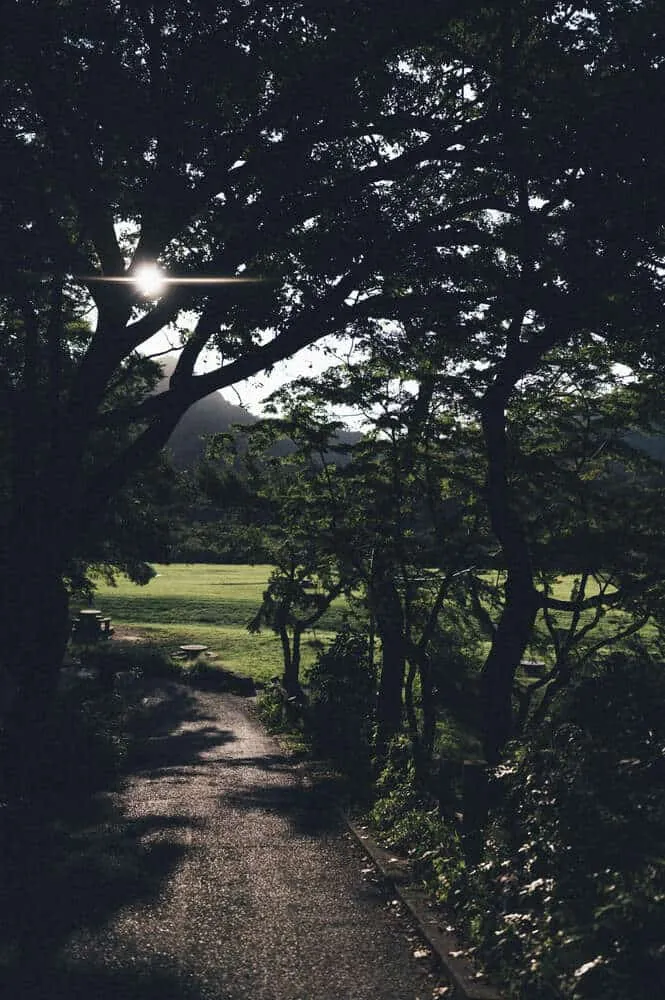Nikon Z 6+NIKKOR Z 35mmで撮る犬山桃太郎神社と彼岸花