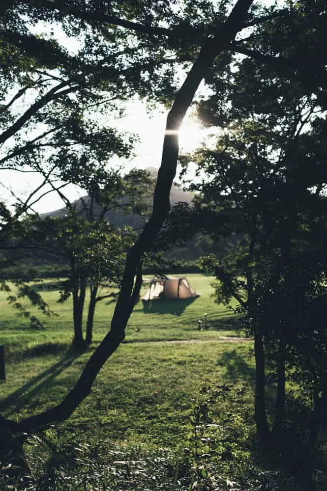 Nikon Z 6+NIKKOR Z 35mmで撮る犬山桃太郎神社と彼岸花