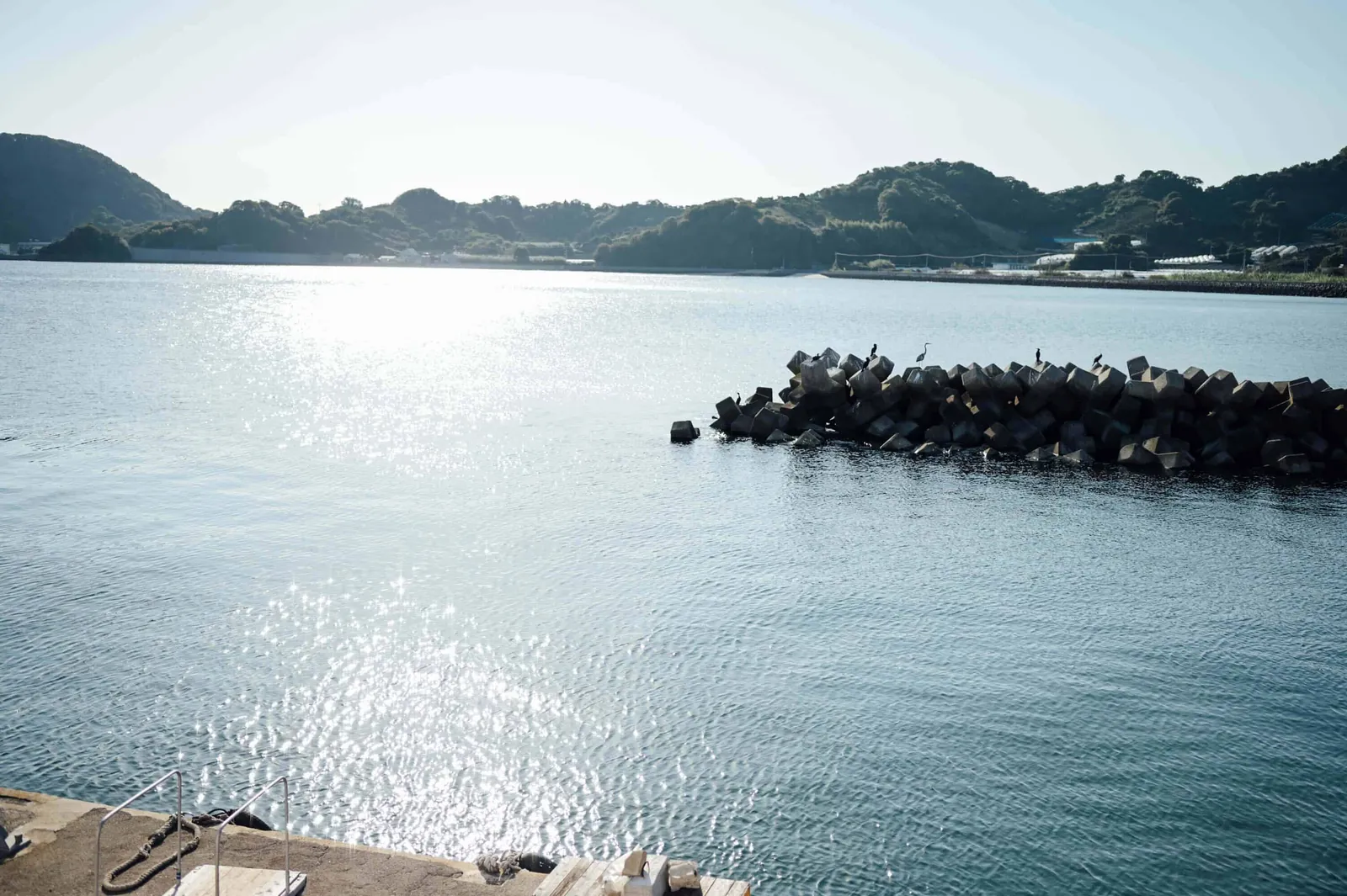 瀬戸内海、愛媛県の興居島に2泊3日旅行してきた。