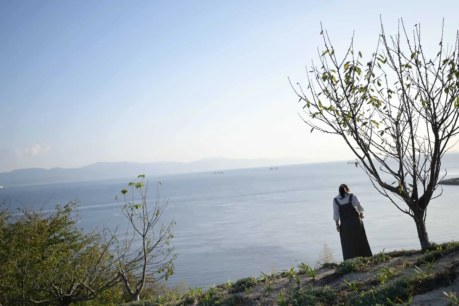 【Vol.2】瀬戸内海、愛媛県の興居島の海と空。
