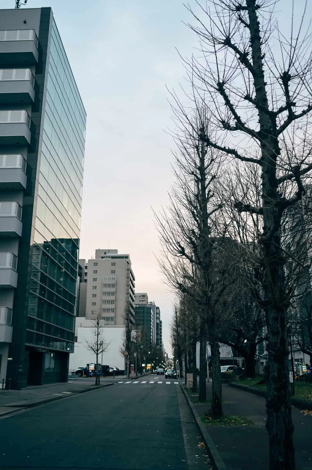 #たこさんぽ2019 もまったりフォトウォークしたんす