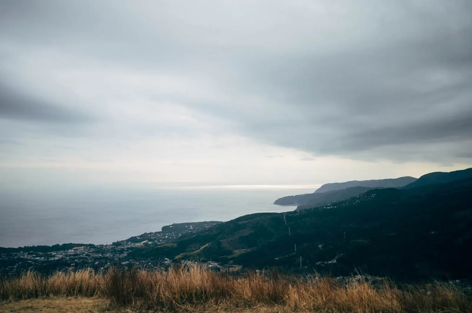 【伊豆高原】静岡県の大室山に登ってきた(リフト)