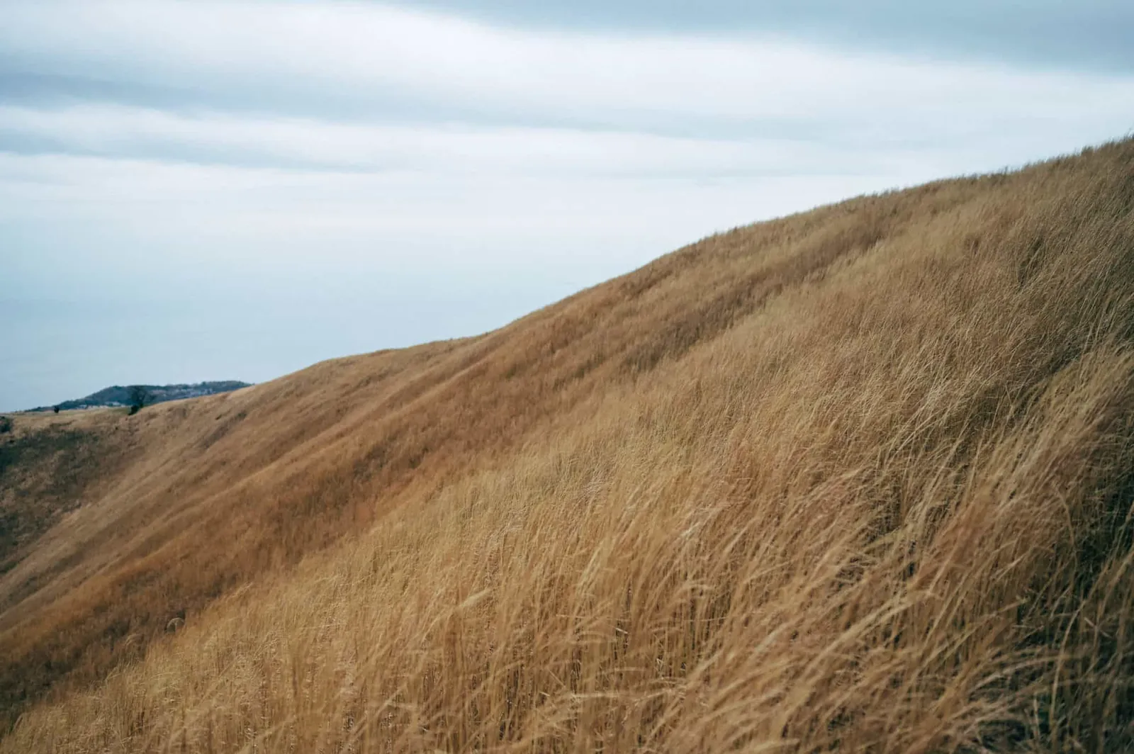 【伊豆高原】静岡県の大室山に登ってきた(リフト)