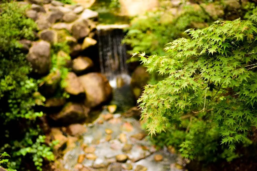 川とか橋のところの紅葉