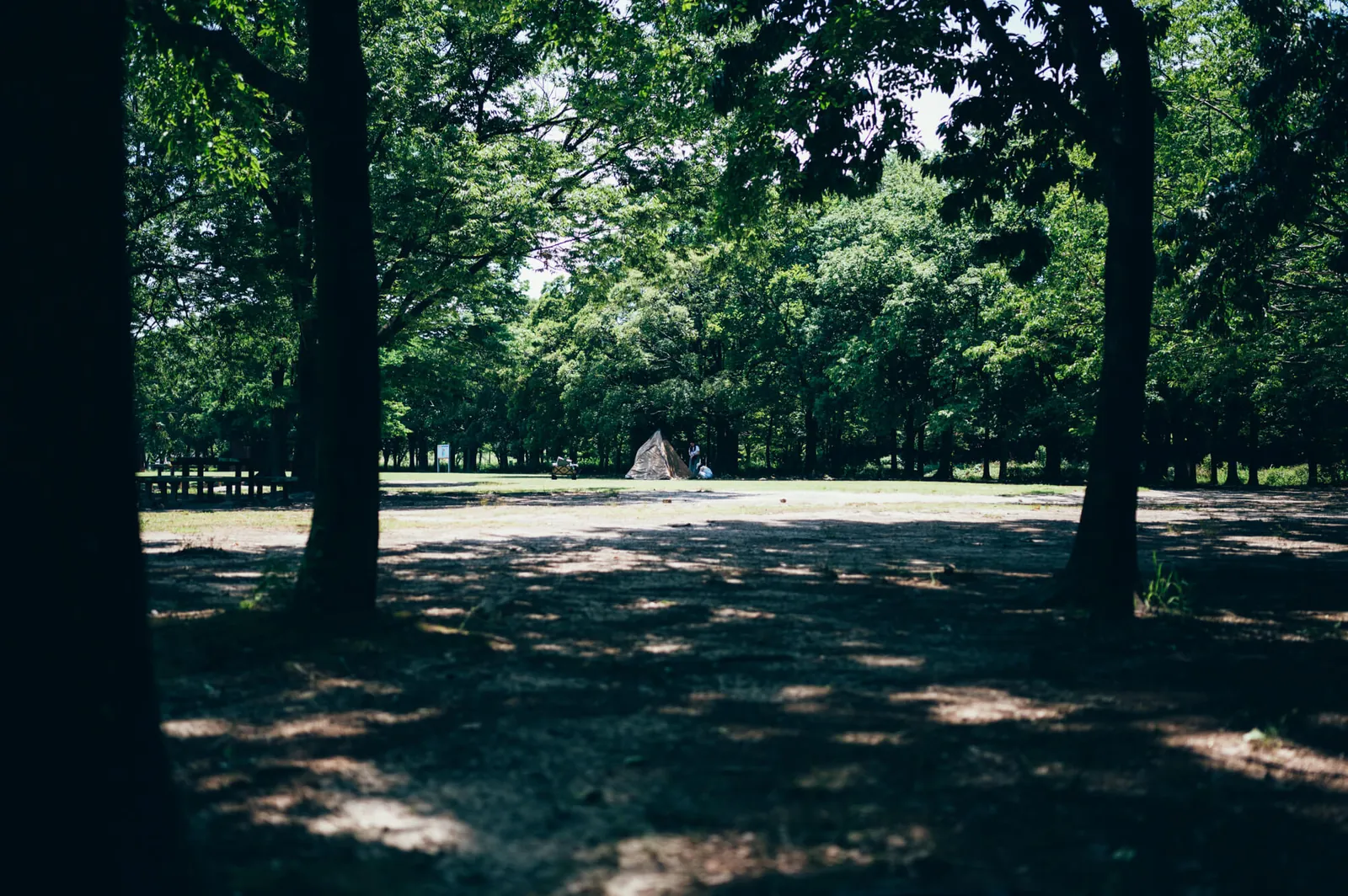 庄内緑地公園でピクニックしてきた