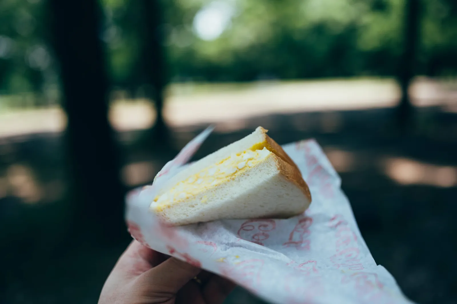 庄内緑地公園でピクニックしてきた