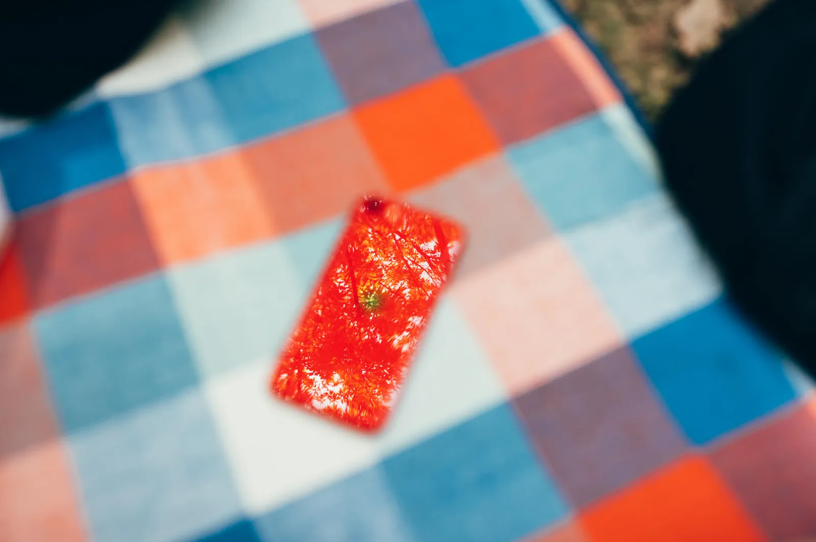 庄内緑地公園でピクニックしてきた