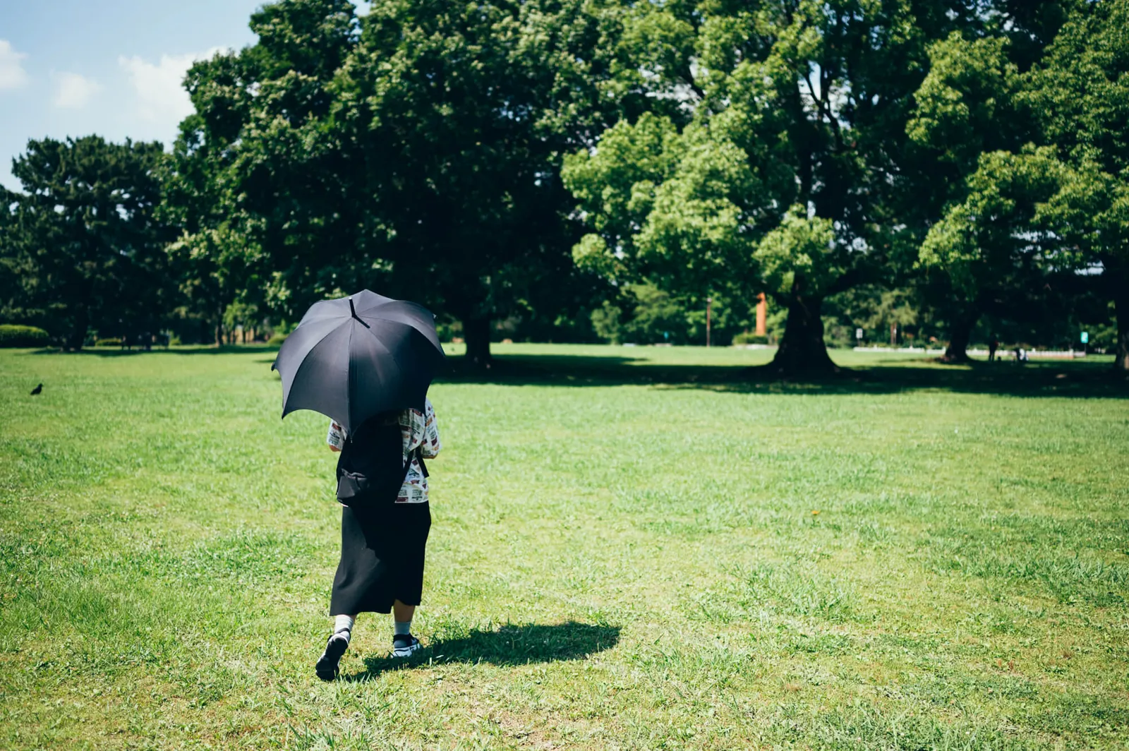 庄内緑地公園でピクニックしてきた