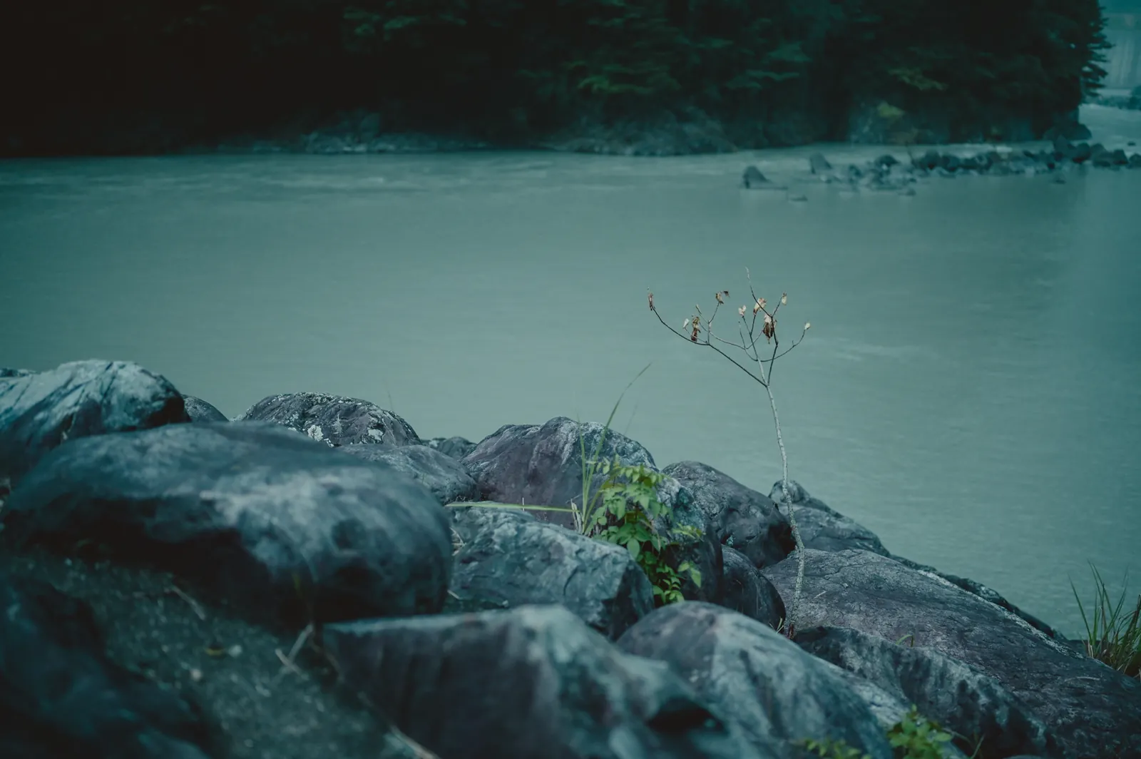 アプトいちしろキャンプ場