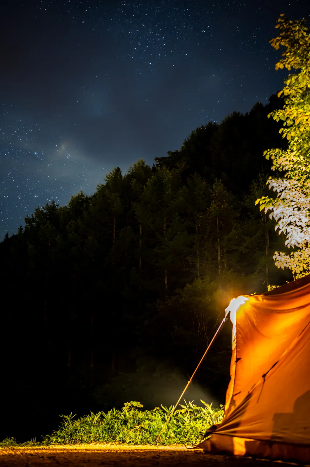Nikon Z 6と飛騨高山の星空(鈴蘭高原)