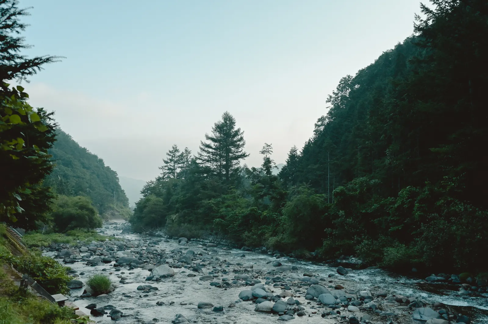 Nikon Z 6と飛騨高山の星空(鈴蘭高原)