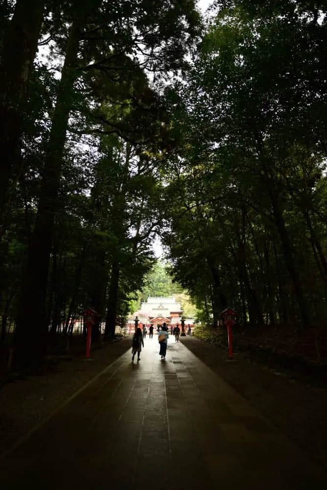 【作例】Nikon D750とDistagon、Planarで鹿児島旅行に行きました。