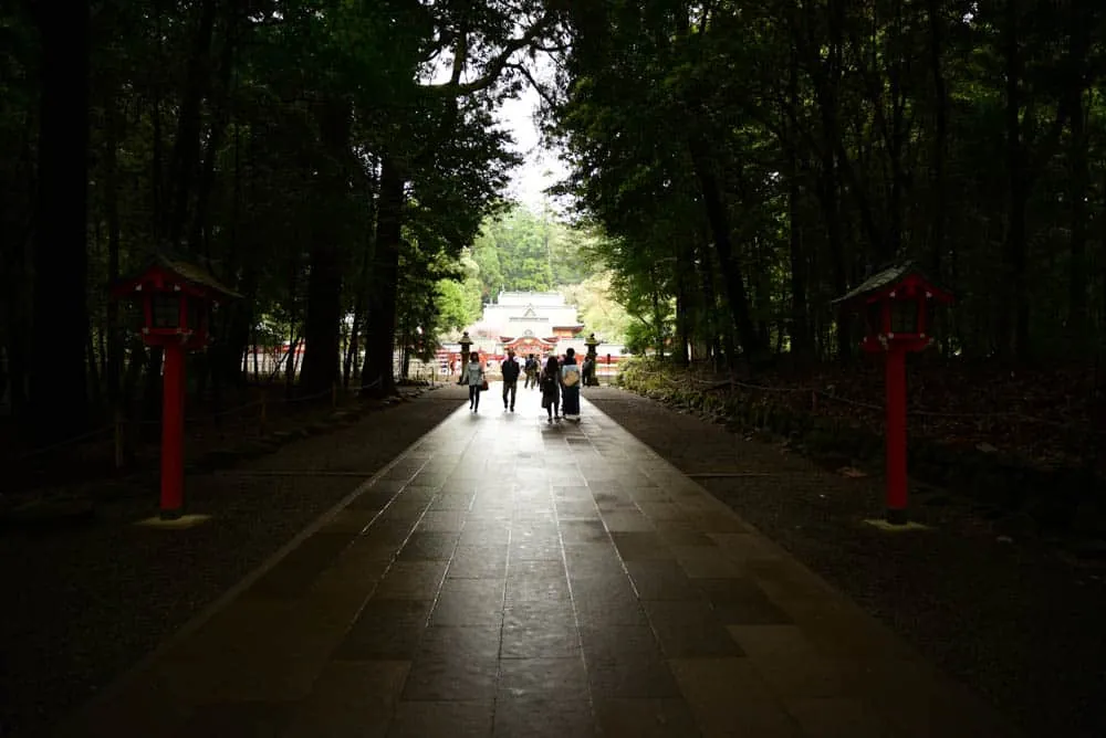 【作例】Nikon D750とDistagon、Planarで鹿児島旅行に行きました。