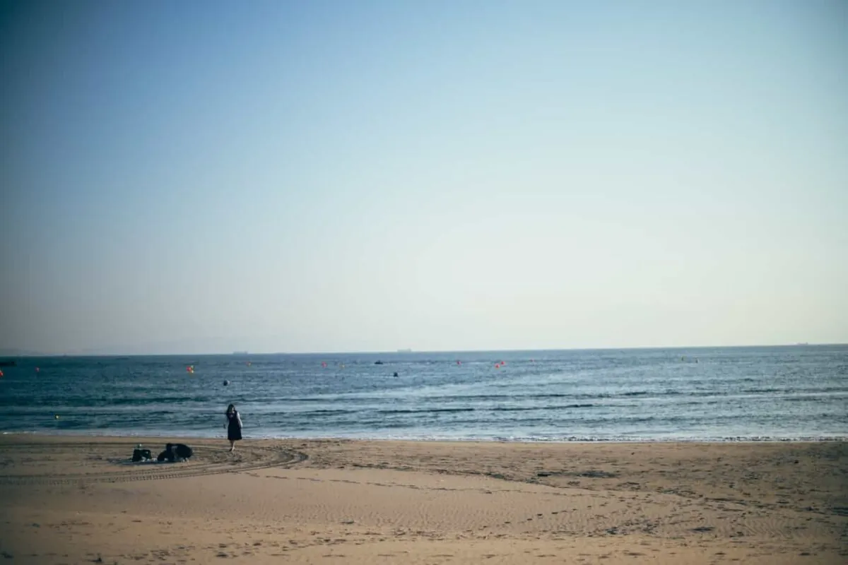 海で語り合ったり、色恋沙汰したり、酒片手にはしゃぎたい人生だった