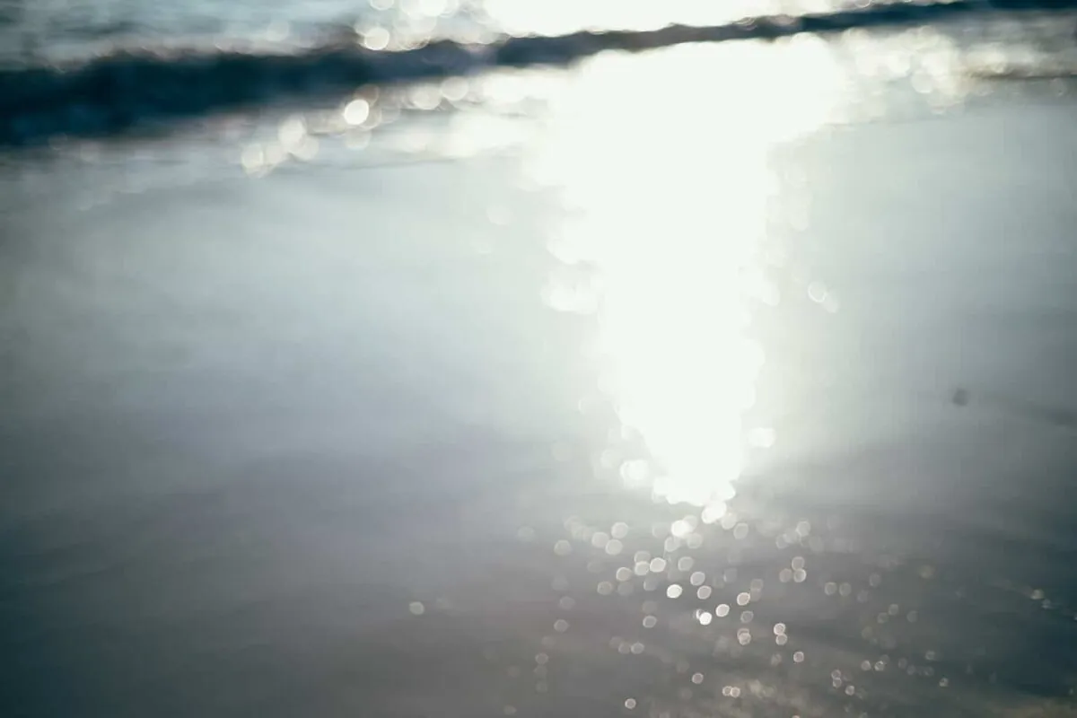 海で語り合ったり、色恋沙汰したり、酒片手にはしゃぎたい人生だった