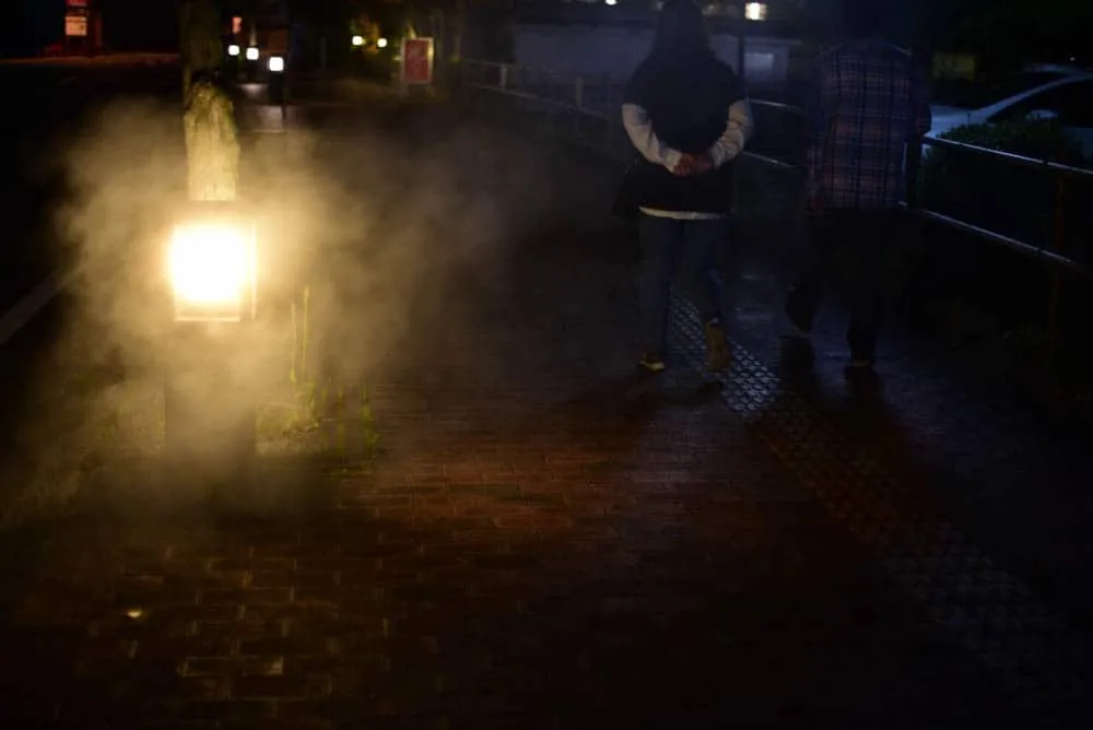 【作例】Nikon D750とDistagon、Planarで鹿児島旅行に行きました。