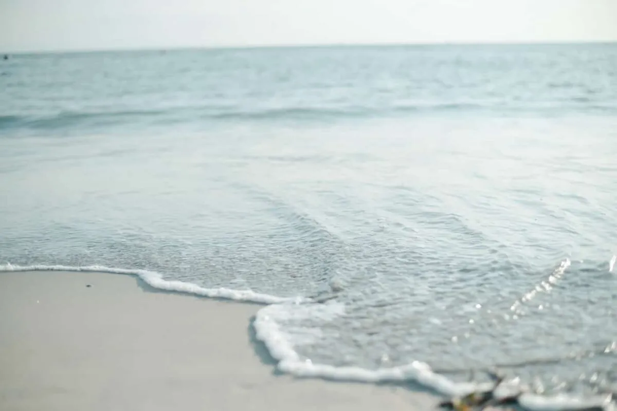 海で語り合ったり、色恋沙汰したり、酒片手にはしゃぎたい人生だった