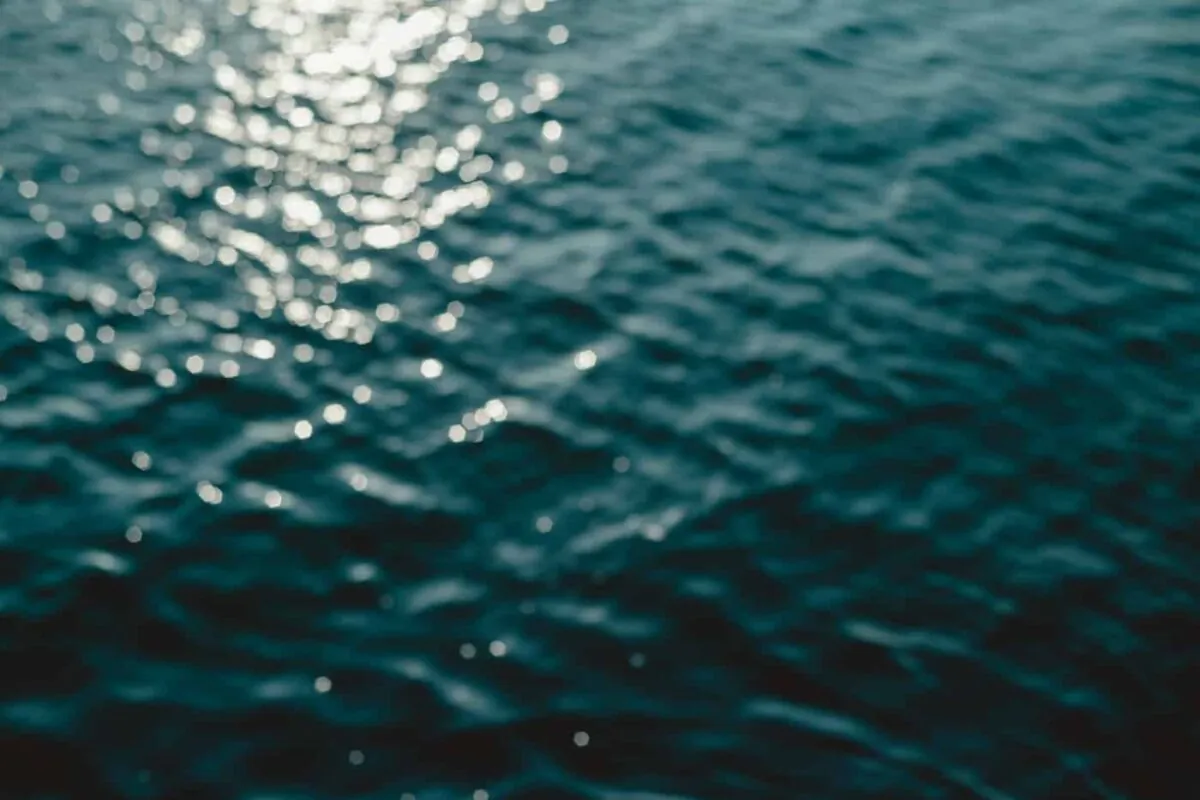 海で語り合ったり、色恋沙汰したり、酒片手にはしゃぎたい人生だった