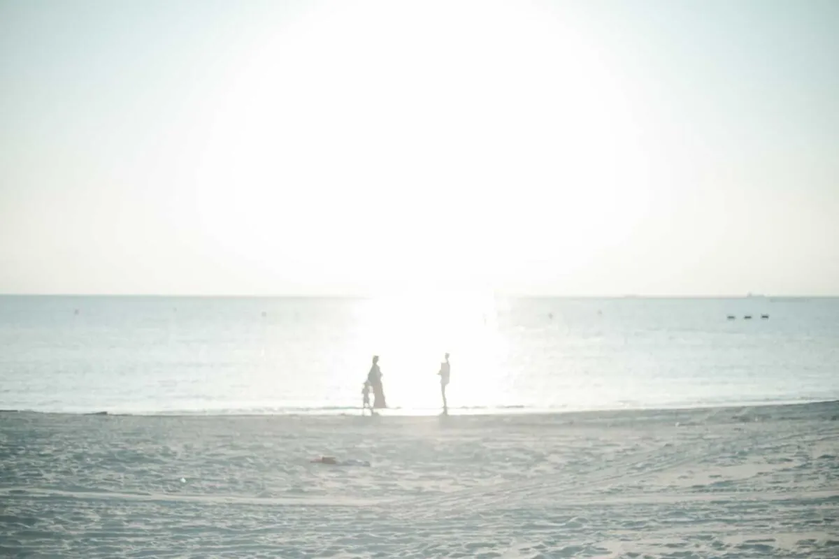 海で語り合ったり、色恋沙汰したり、酒片手にはしゃぎたい人生だった