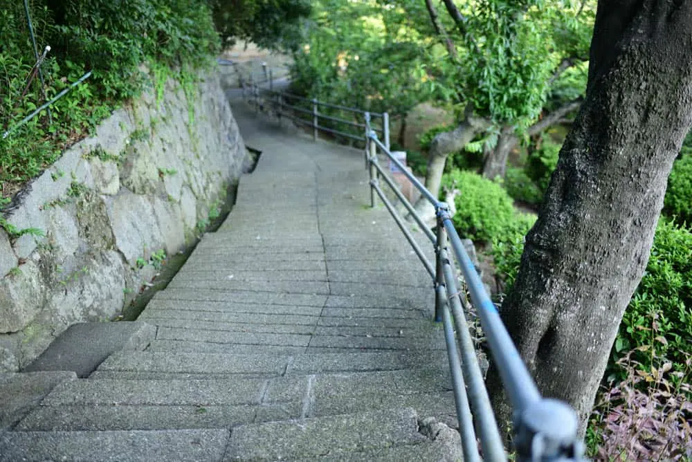 【NikonD750作例】「うさぎ島」大久野島へ行ってきました(竹原・尾道も)