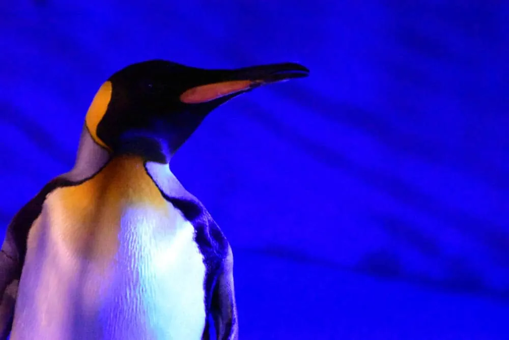 夜の動物園。東山動植物園「ナイトZOO」をNikon D750で撮影してきました。