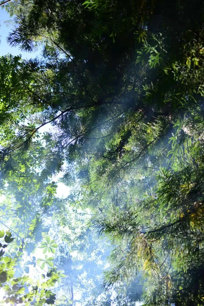 【NikonD750/星空】岐阜県郡上市の高鷲でキャンプ